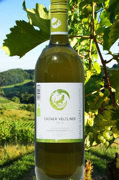 Grüner Veltliner Landwein Weingut David Harm 1 Liter