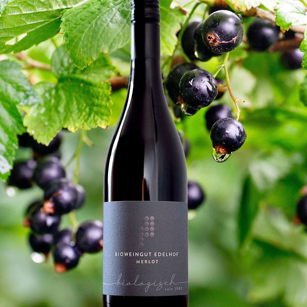 Merlot halbtrocken Edelhof, Burgenland