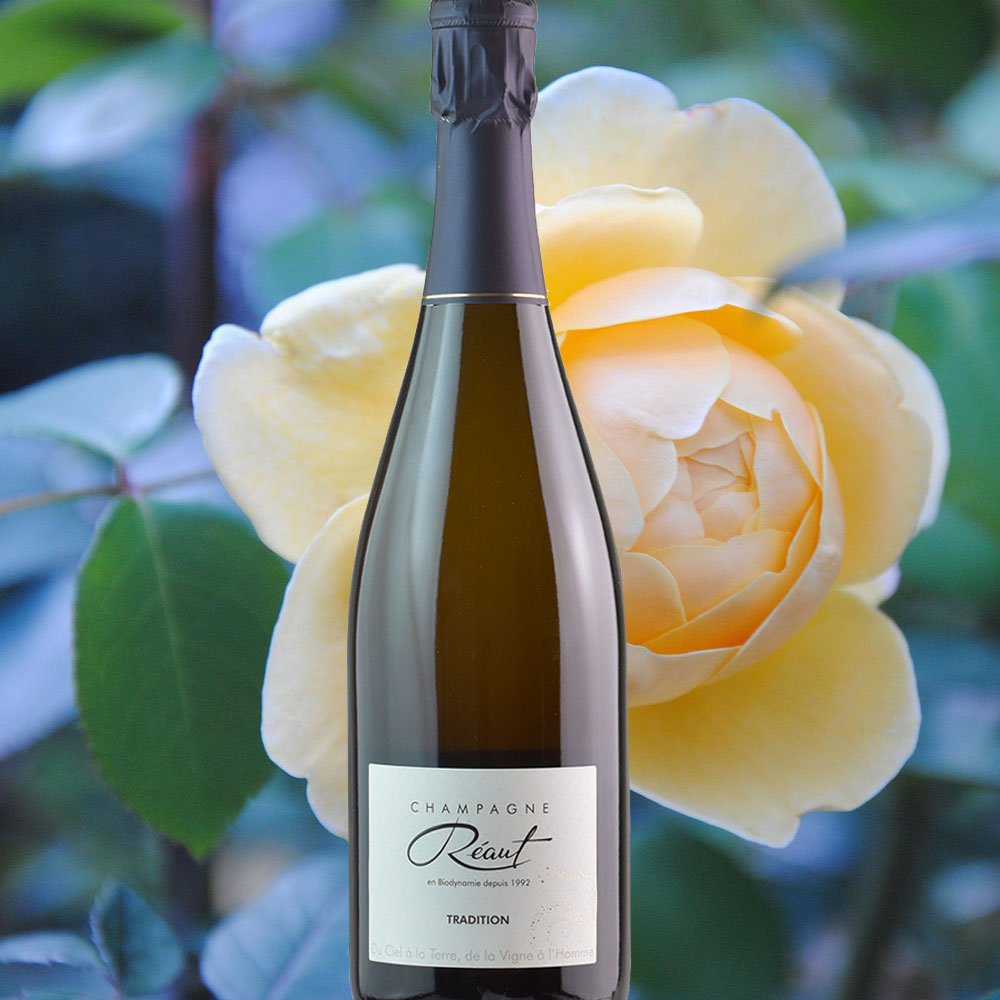 Champagner Brut Tradition Réaut