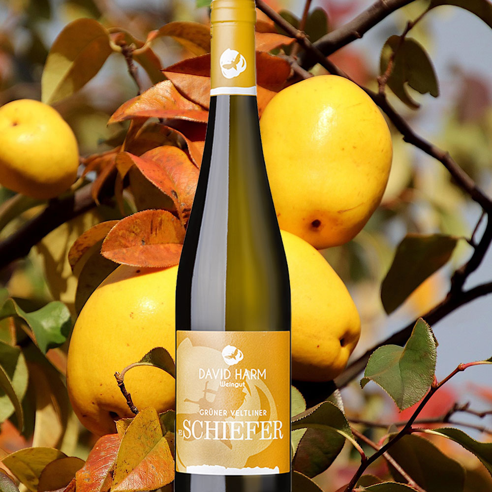 Grüner Veltliner Hollenburger Schiefer